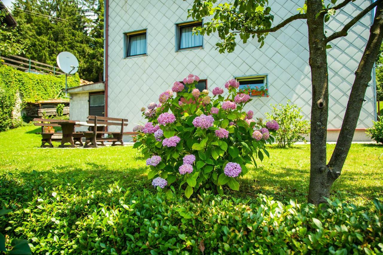 Apartment Japlenski