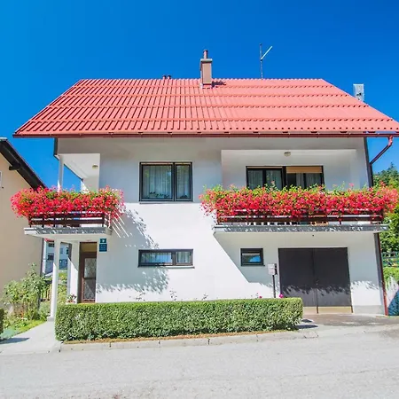 Apartman Japlenski Delnice Exterior photo